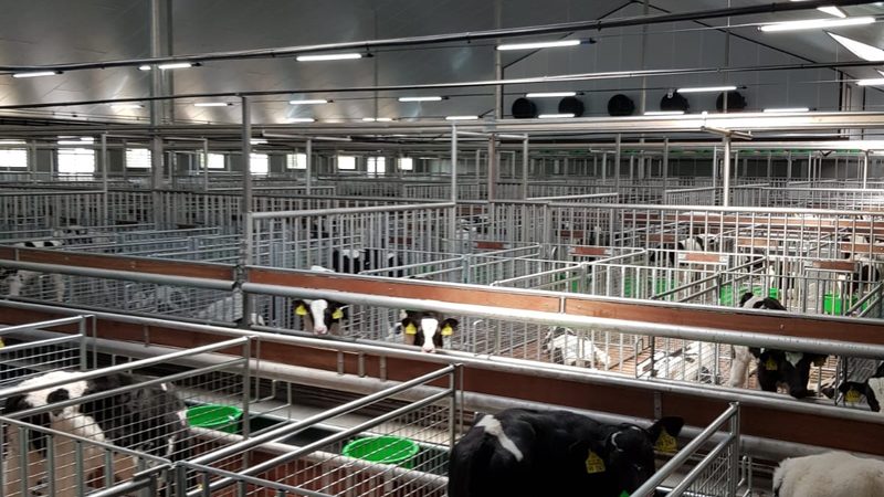 行业现状：独立站成为跨境电商新宠